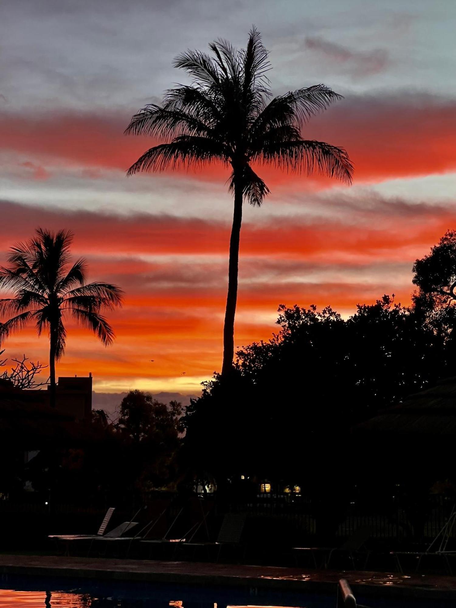 Kaanapali'S Royal Luxury Plantation Beach & Golf Estate 외부 사진